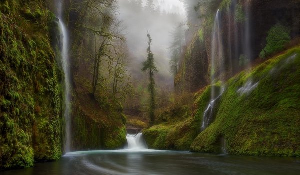 Обои на рабочий стол: водопад, лес, Орегон, природа, река, сша