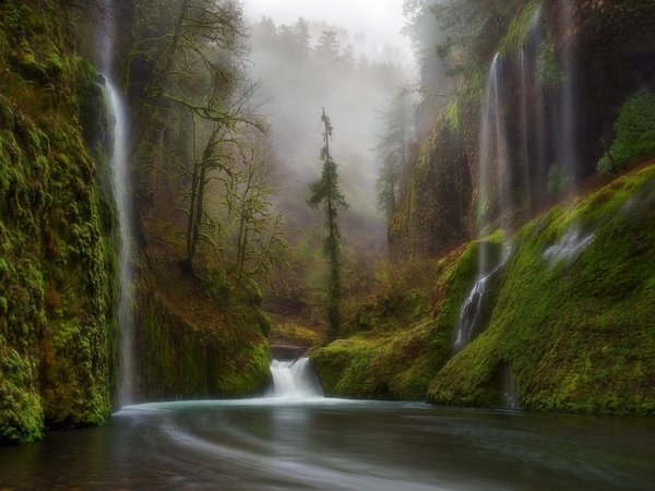 водопад, лес, Орегон, природа, река, сша