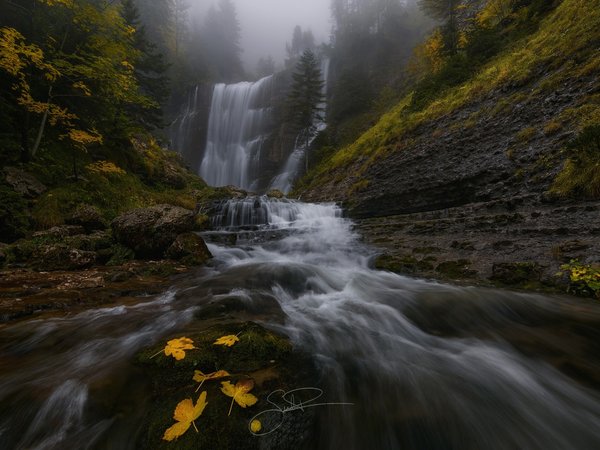 вода, водопад, лес, листва, осень, поток, природа, река, скалы