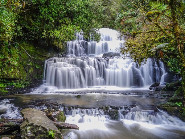Catlins, New Zealand, Purakaunui Falls, водопад, каскад, лес, новая зеландия