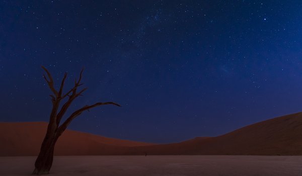 Обои на рабочий стол: Ali Khataw, desert, dunes, namib, sky, stars, дюны, звезды, Намиб, небо, пустыня