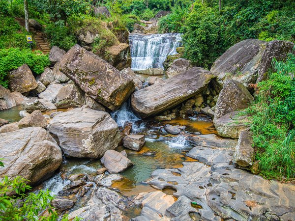 Nuwara Eliya, водопад, камни, лес, речка, Шри-Ланка