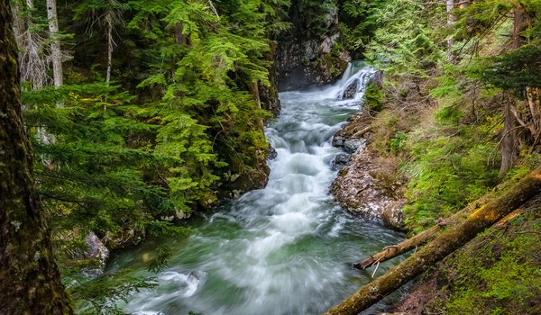 Обои на рабочий стол: Denny Creek, Washington State, лес, река, штат Вашингтон