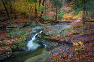 Обои на рабочий стол: Pennsylvania, Ricketts Glen State Park, Sullivan Falls, водопад, лес, осень, Пенсильвания, река