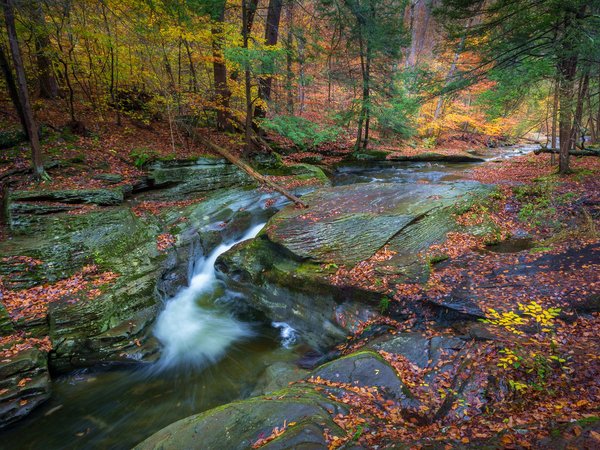 Pennsylvania, Ricketts Glen State Park, Sullivan Falls, водопад, лес, осень, Пенсильвания, река