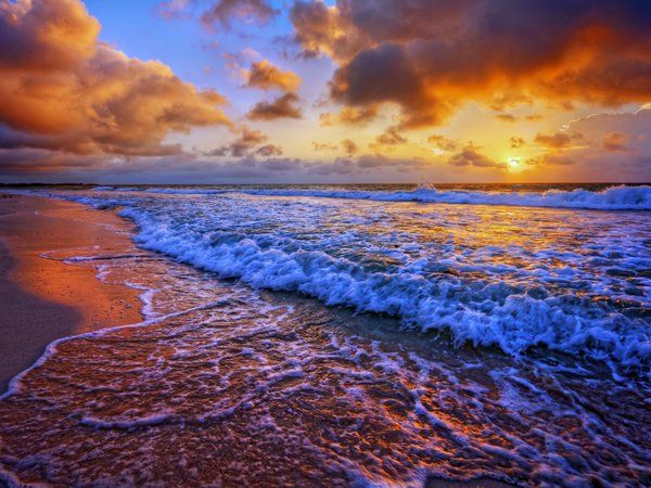 beach, sea, seashore, sunset