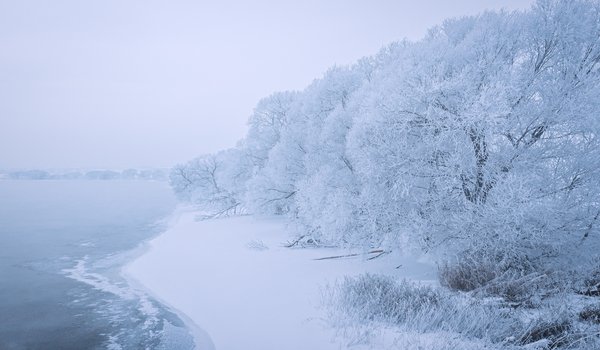 Обои на рабочий стол: Sergei Poletaev, берег, деревья, озеро, Сергей Полетаев, снег
