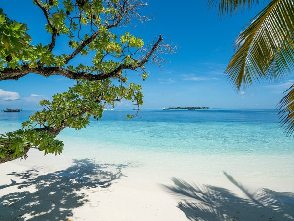 beach, palms, paradise, sand, sea, summer, tropical, волны, лето, море, пальмы, песок, пляж, солнце