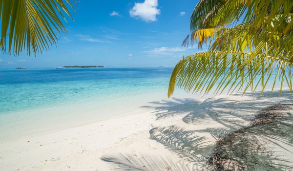 Обои на рабочий стол: beach, palms, paradise, sand, sea, summer, tropical, волны, лето, море, пальмы, песок, пляж, солнце