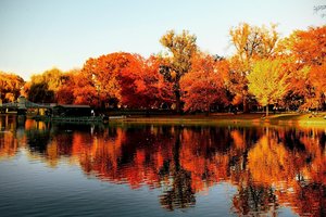Обои на рабочий стол: autumn, boston, fall, lake, park, trees, бостон, деревья, мостик, озеро, осень, отражения, парк, сша