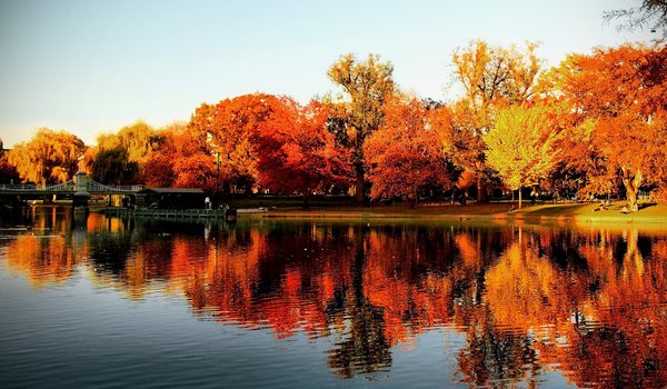 Обои на рабочий стол: autumn, boston, fall, lake, park, trees, бостон, деревья, мостик, озеро, осень, отражения, парк, сша