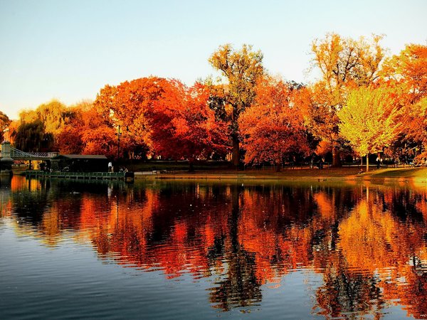 autumn, boston, fall, lake, park, trees, бостон, деревья, мостик, озеро, осень, отражения, парк, сша