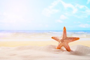 Обои на рабочий стол: beach, sand, sea, starfish, summer, звезда, море, песок, пляж