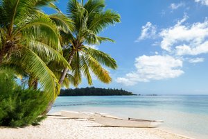 Обои на рабочий стол: берег, голубое небо, море, пальмы, пляж, природа, тропики