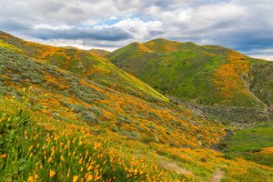 Обои на рабочий стол: usa, Walker Canyon, горы, зелень, трава, фото