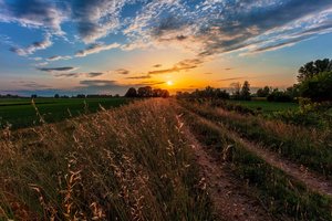 Обои на рабочий стол: дорога, поле, утро