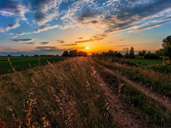 дорога, поле, утро