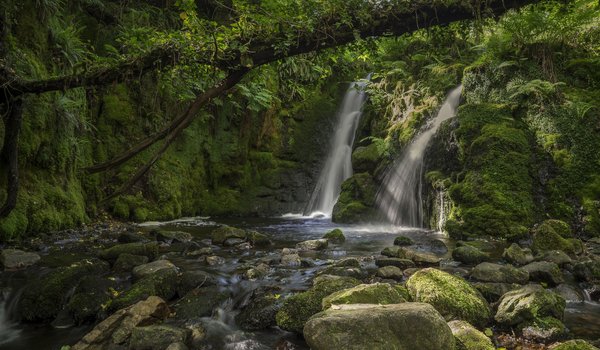 Обои на рабочий стол: Dartmoor, Devon, england, Venford Brook Falls, англия, водопад, Дартмур, Девон, дерево, камни, лес, мох, река