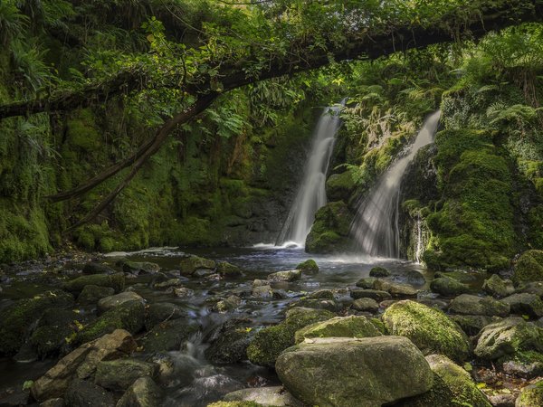 Dartmoor, Devon, england, Venford Brook Falls, англия, водопад, Дартмур, Девон, дерево, камни, лес, мох, река
