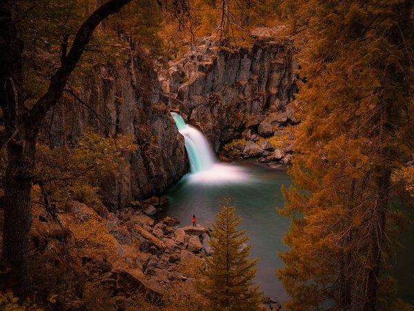 california, McCloud River, Upper McCloud Falls, водопад, деревья, калифорния, река, Река Мак-Клауд, скалы
