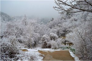 Обои на рабочий стол: park, snow, winter, зима, парк, снег