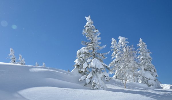 Обои на рабочий стол: japan, Yatsugatake Mountains, деревья, зима, небо, снег, сугробы, япония