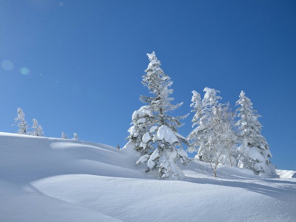 japan, Yatsugatake Mountains, деревья, зима, небо, снег, сугробы, япония