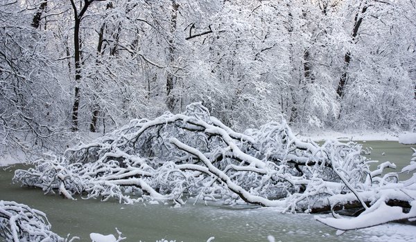Обои на рабочий стол: landscape, river, snow, tree, white, winter, деревья, зима, пейзаж, река, снег