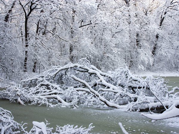 landscape, river, snow, tree, white, winter, деревья, зима, пейзаж, река, снег