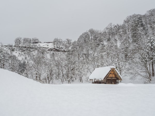 beautiful, cottage, house, landscape, nature, snow, winter, деревья, зима, зимний, пейзаж, снег, хижина