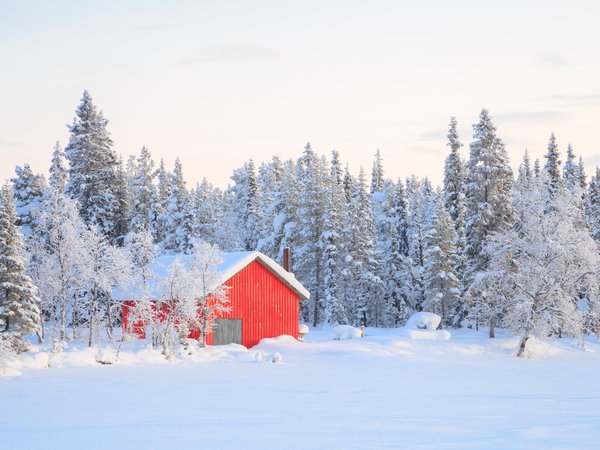 beautiful, house, landscape, nature, snow, winter, деревья, зима, зимний, пейзаж, снег, хижина