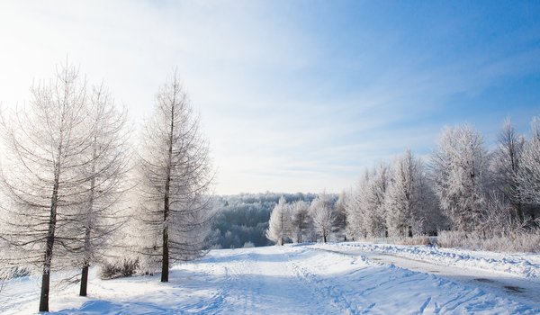 Обои на рабочий стол: beautiful, landscape, nature, snow, winter, деревья, зима, зимний, пейзаж, снег