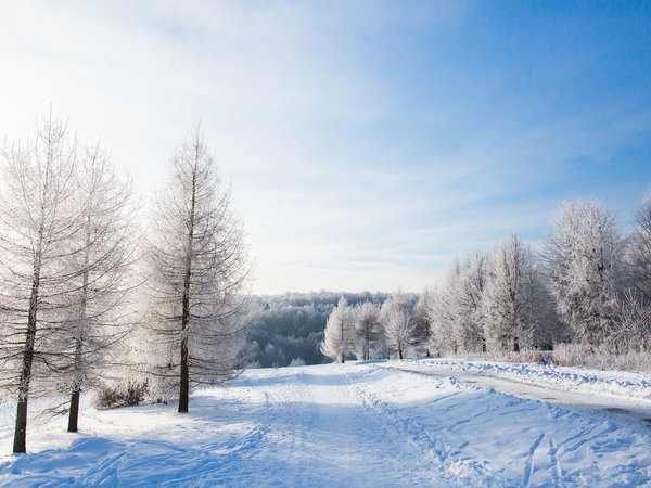 beautiful, landscape, nature, snow, winter, деревья, зима, зимний, пейзаж, снег