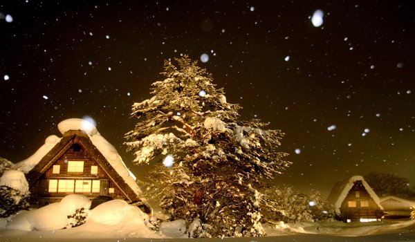 Обои на рабочий стол: деревья, дома, зима, ночь, снег