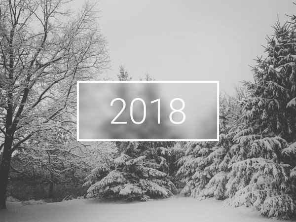 2018, christmas, minimalistic, new year, snow, trees, wallpaper, white, winter