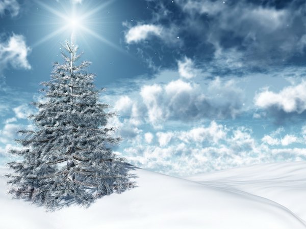 clouds, new year, sky, snow, winter, ель, зима, небо, новый год, облака, праздник, свет, снег, солнце