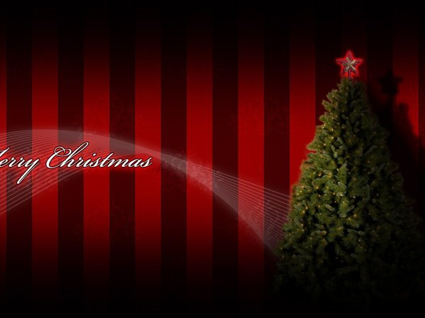 merry christmas, елка, звезда, праздник, рождество