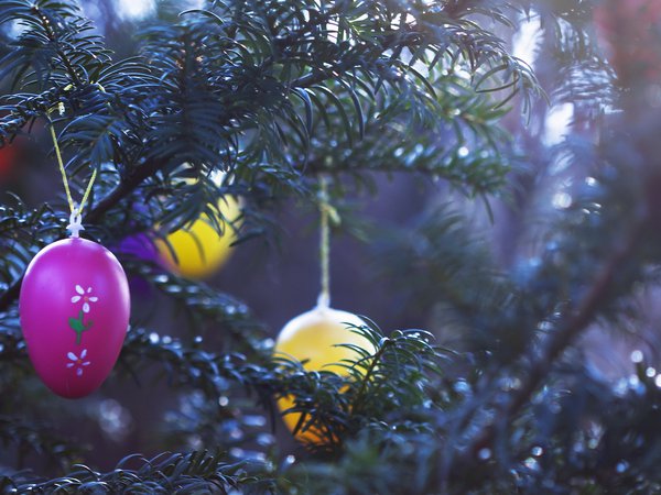елка, игрушки, праздник
