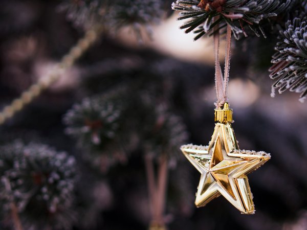 christmas, new year, ветки, декорации, дерево, елка, ель, звезда, звёздочка, зима, золотая, игрушка, новый год, праздники, рождество