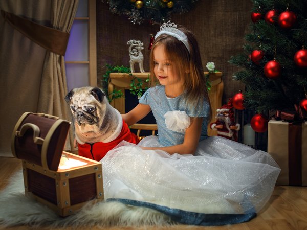 Георгий Бондаренко, девочка, елка, животное, новый год, пес, подарки, праздник, ребёнок, собака, сундук