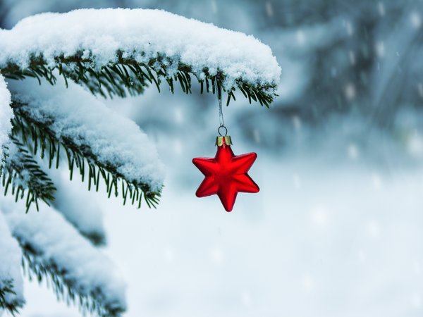 christmas, decoration, fir tree, merry, red star, snow, winter, ветка, ветки ели, елка, звезда, зима, новый год, рождество, снег