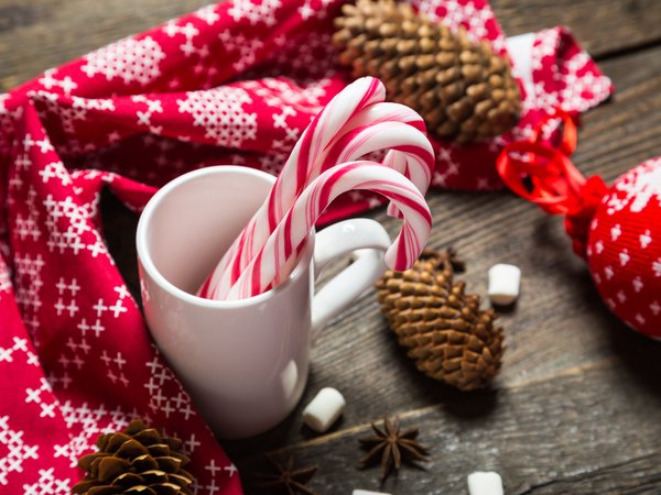 christmas, cup, decoration, holiday celebration, marshmallow, merry christmas, Xmas, елка, зефирки, какао, новый год, рождество, украшения, чашка, шишки
