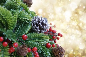 Обои на рабочий стол: decoration, holiday celebration, merry christmas, Xmas, елка, новый год, рождество