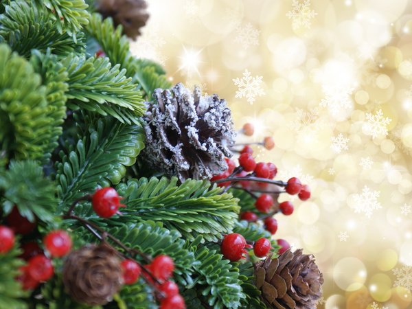 decoration, holiday celebration, merry christmas, Xmas, елка, новый год, рождество