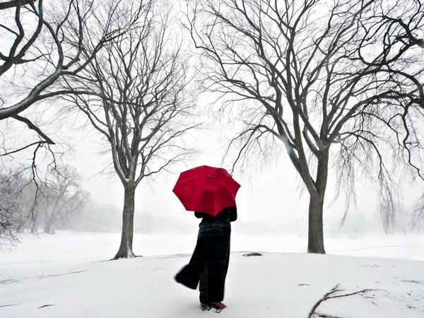 девушка, зонт, сакура, снег, япония
