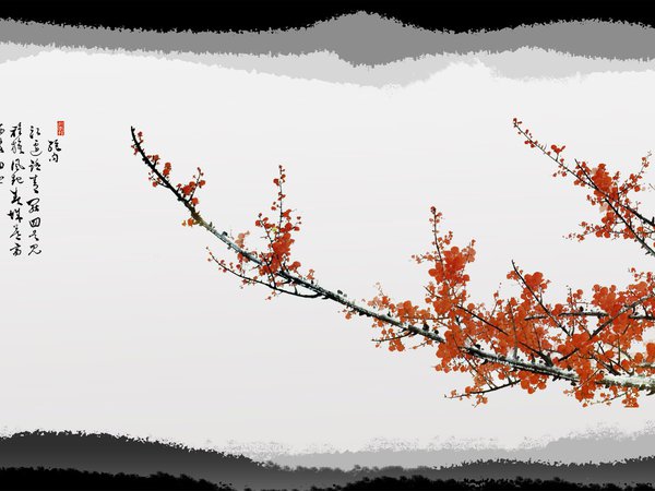 дерево, иероглиф, сакура, япония