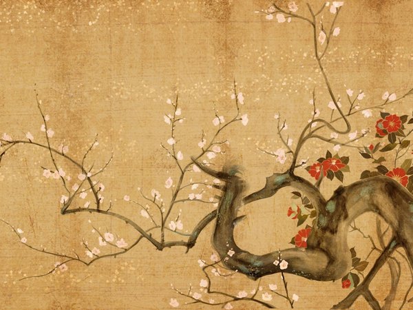 дерево, сакура, цветы