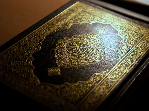 book, holy, islam, macro, quran, арабский, ислам, каллиграфия, коран, макро, мусульманство, священная книга