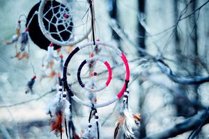 Обои на рабочий стол: bokeh, ветки, ловушка для снов