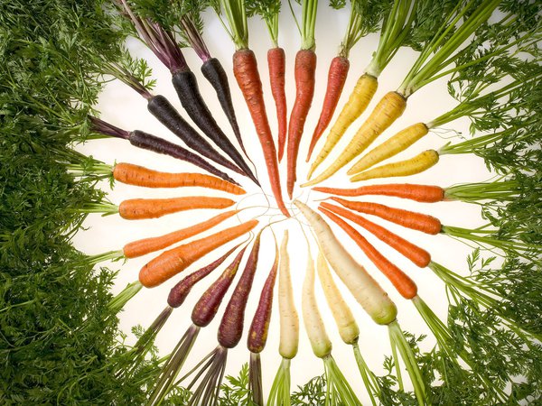 еда, изобилие цвета, морковь